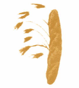 Gabon Pain